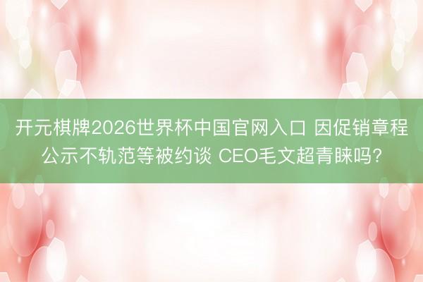开元棋牌2026世界杯中国官网入口 因促销章程公示不轨范等被约谈 CEO毛文超青睐吗?