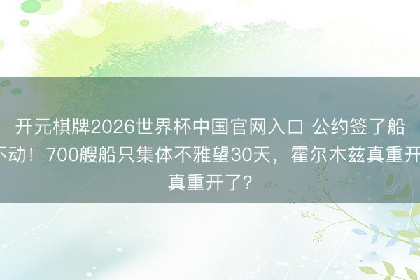 开元棋牌2026世界杯中国官网入口 公约签了船却不动！700艘船只集体不雅望30天，霍尔木兹真重开了？
